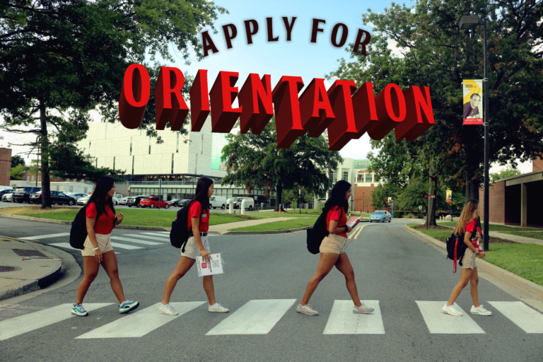 UMD Orientation is hiring University of Maryland Honors College