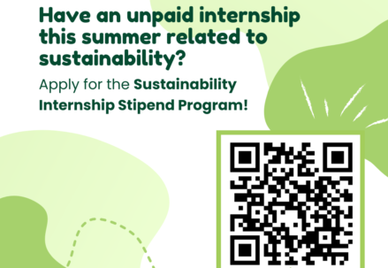 Sustainability Internship