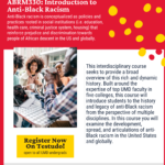 Anti-Black Racism Minor