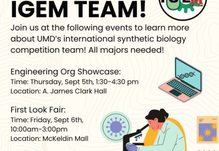 Meet the iGEM Team