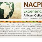 NACPE Flyer fall 2024