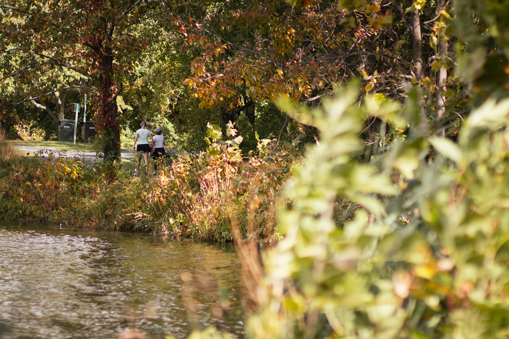 Honors College Partners with BridgeUMD on Election Dialogues about Environmental Policy and More