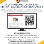 BOR Student Excellence Scholarship