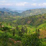 Rwanda study abroad