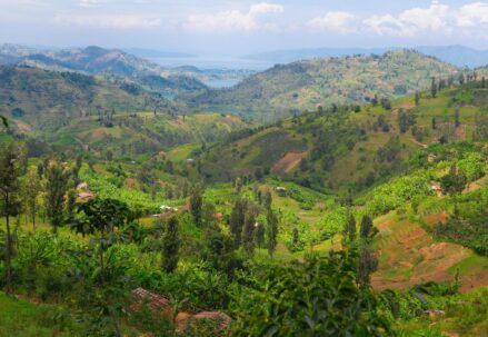 Rwanda study abroad