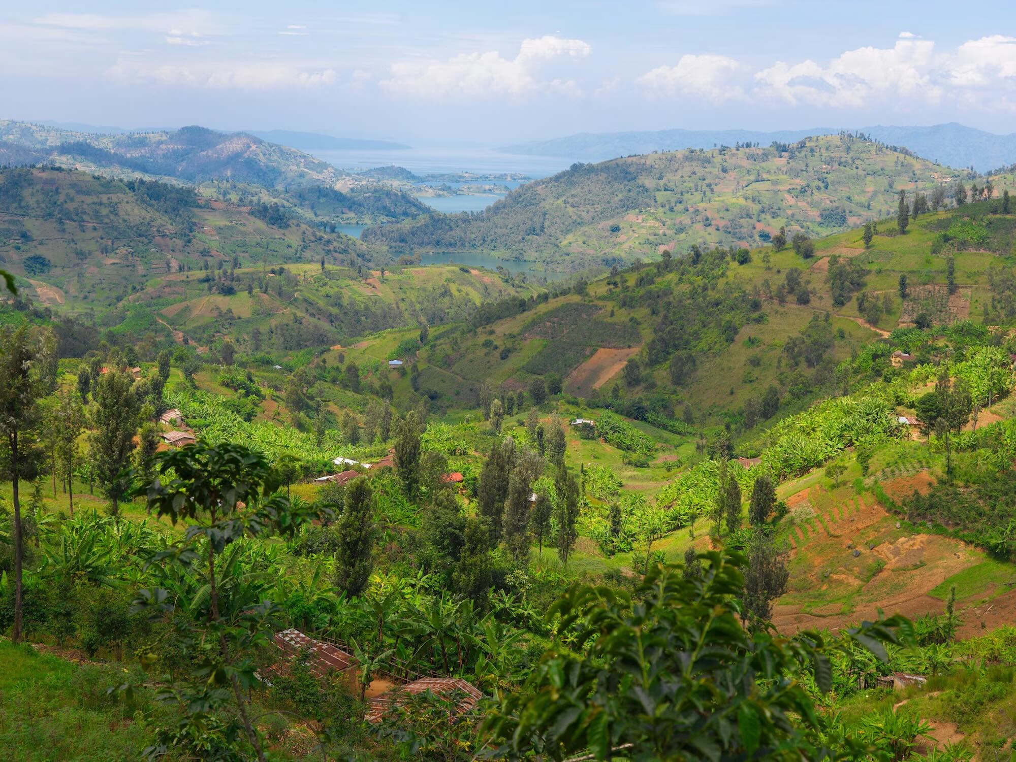 Study Abroad Opportunity: Restorative Justice and the Community: Histories of Healing in Rwanda