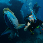 El Simon scuba diving in Australia