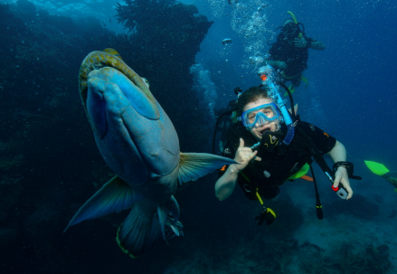 El Simon scuba diving in Australia