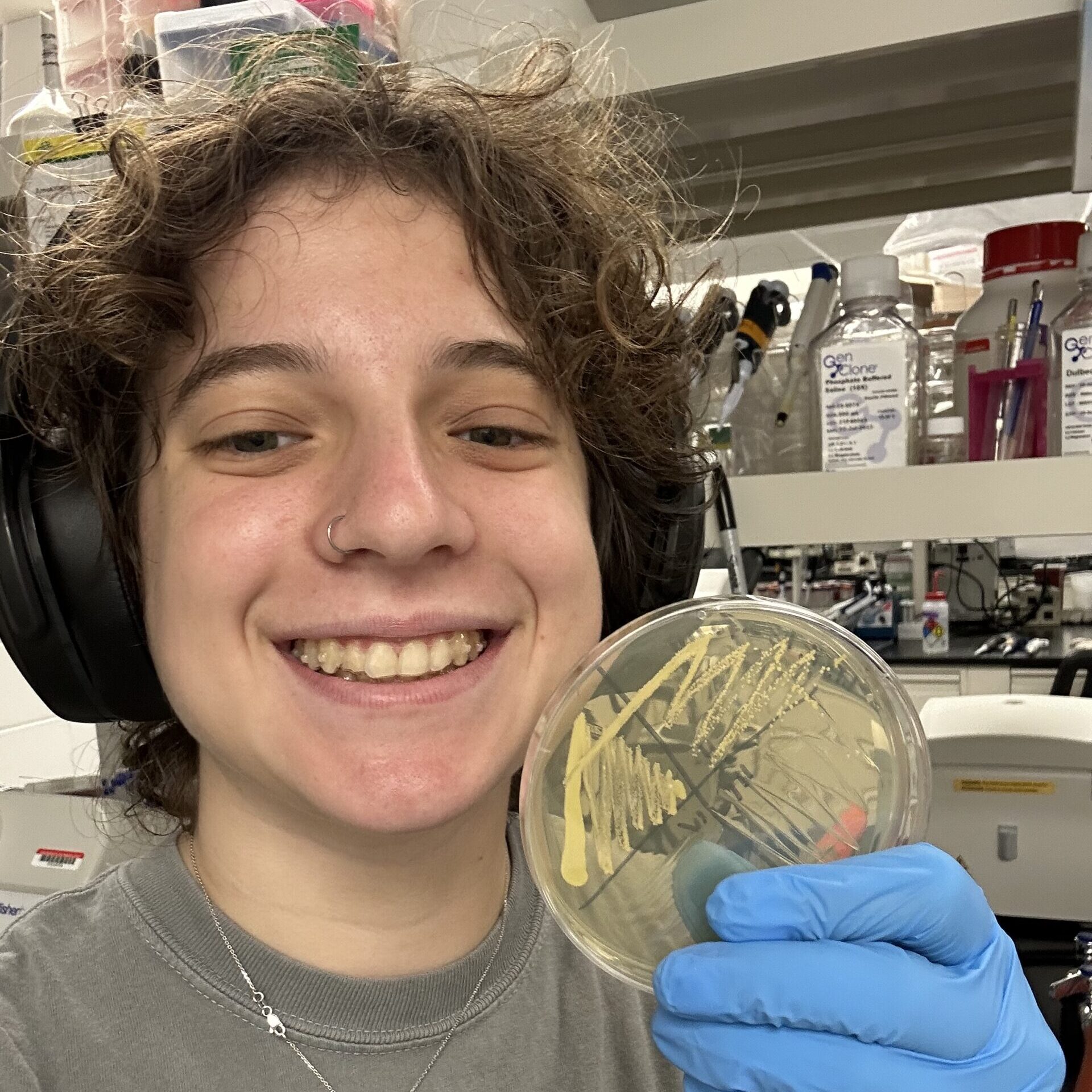 Lindsey Walter microbacterium