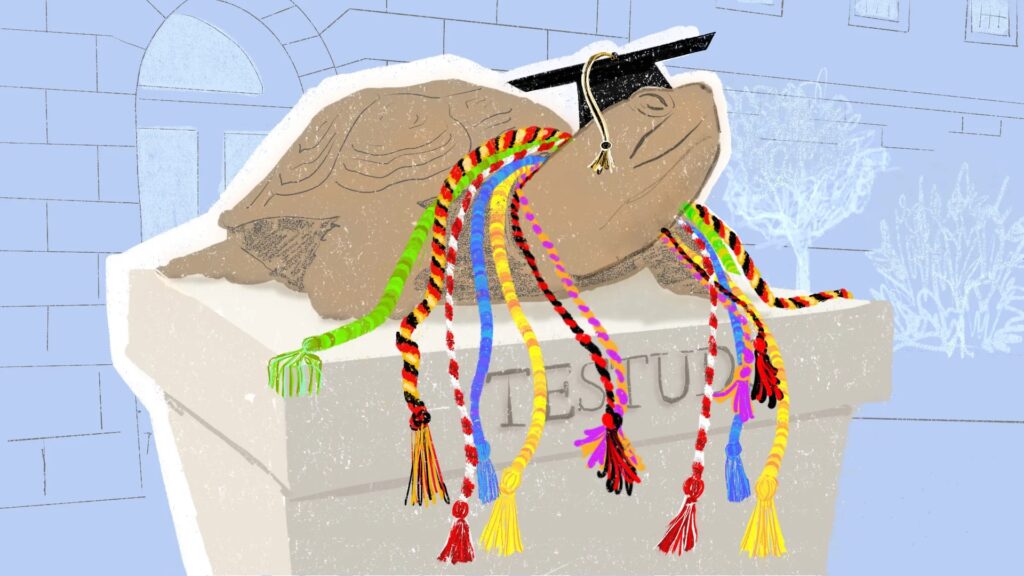 Testudo with graduation cords