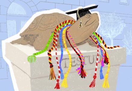 Testudo with graduation cords