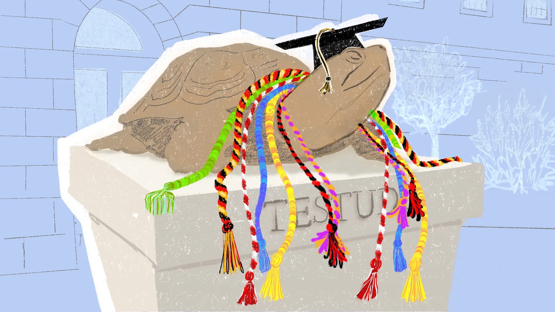 Get the hang of UMD’s Commencement Cords